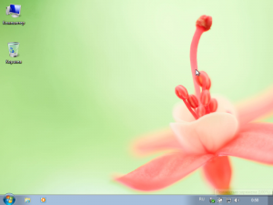 Windows 7 SP1 - Light 1.5 - By X-NET (x86/64) (2012) Русский