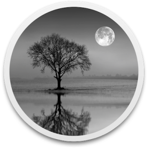 Reflect Studio 2.5