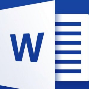 Microsoft Word 2007 SP3 Standard — RePack (2019)