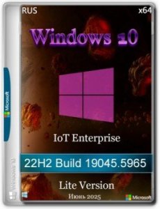 Windows 10 Lite IoT Enterprise 22H2 Build 19045.5965