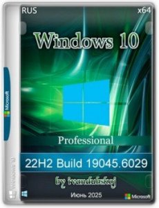 Windows 10 Pro x64 22Н2 Build 19045.6029 by ivandubskoj